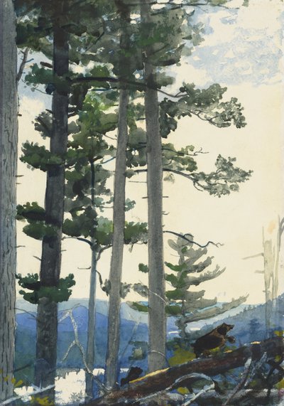 Old Settlers by Winslow Homer